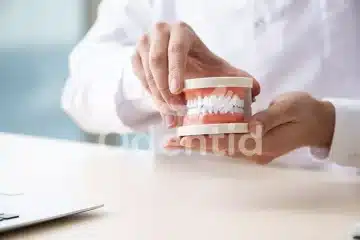 cuantos-dientes-tenemos-y-como-se-llaman-blog-odentid